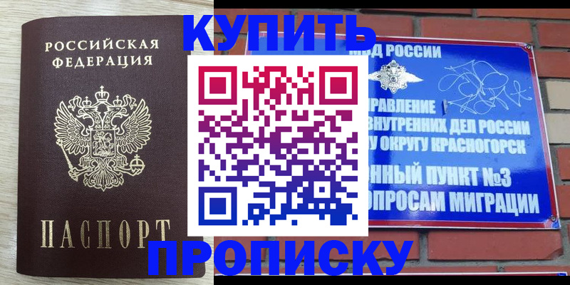 прописка гарантия в Закаменске